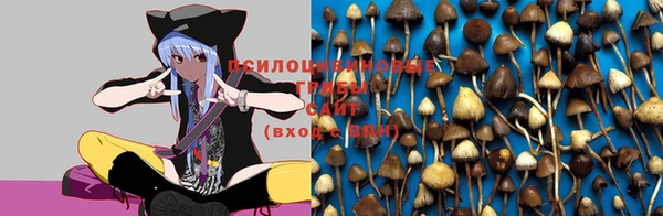 каннабис Алексеевка