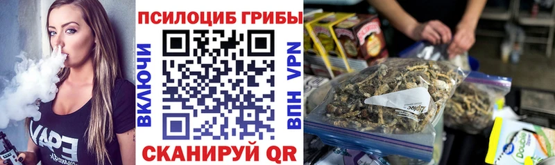 Псилоцибиновые грибы мицелий  Купить  Шилка 